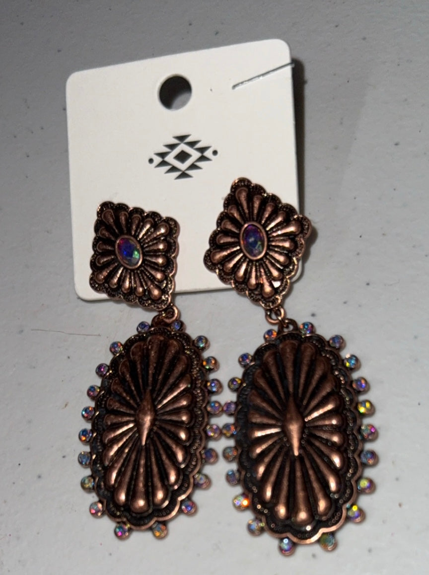 Bronze Earrings